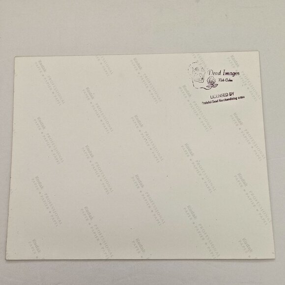 Phil Lesh Grateful Dead Licensed Photo Print By Rob Cole - Picture 7 of 8